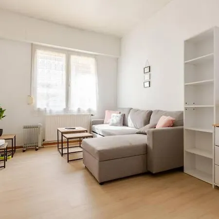 ++++ Renove 200 M Et 300 M De La Rue Pietonne ++++