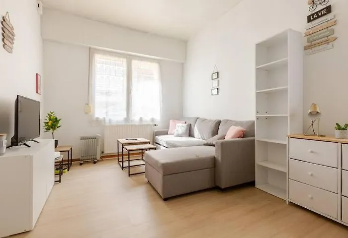 ++++ Renove 200 M Et 300 M De La Rue Pietonne ++++