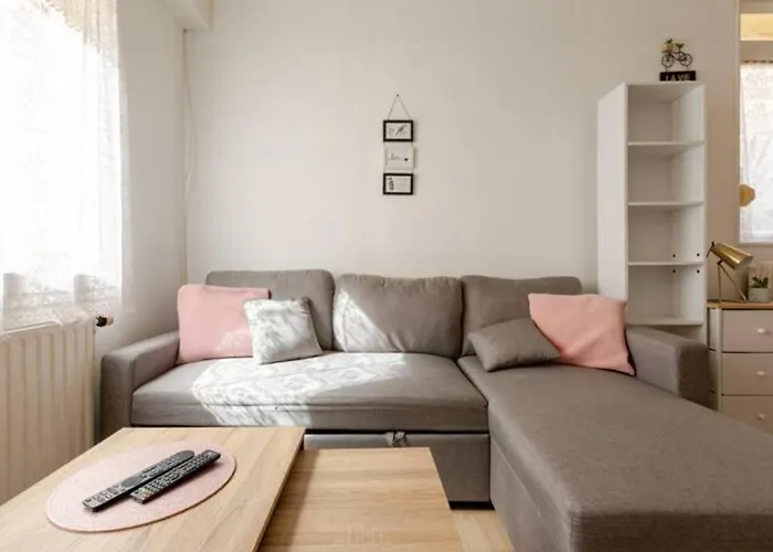 ++++ Renove 200 M Et 300 M De La Rue Pietonne ++++ Berck